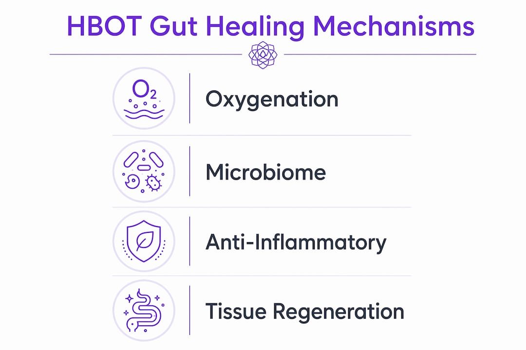 Infographic showing HBOT gut healing mechanisms