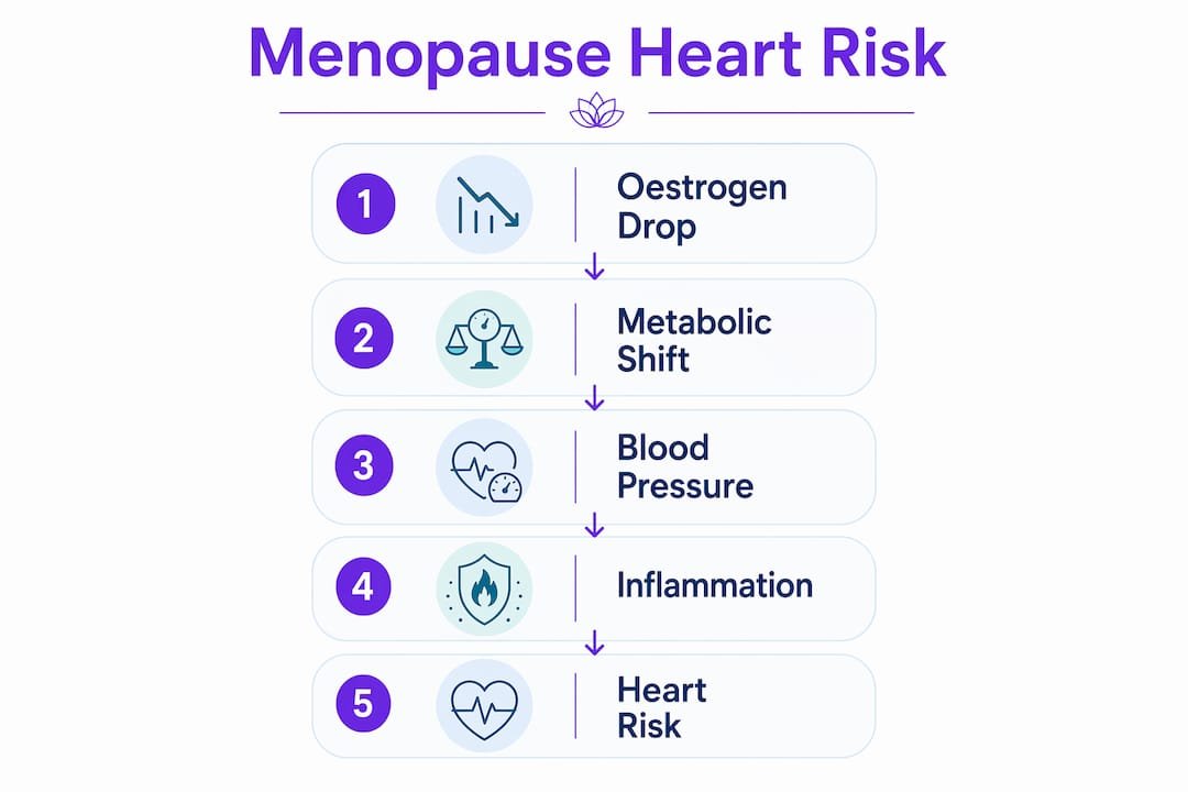 Infographic explaining stages of cardiovascular risk increase at menopause